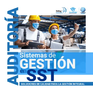 13.Auditoría-Sistemas-de-Gestión-en-Seguridad-y-Salud-en-el-Trabajo-8