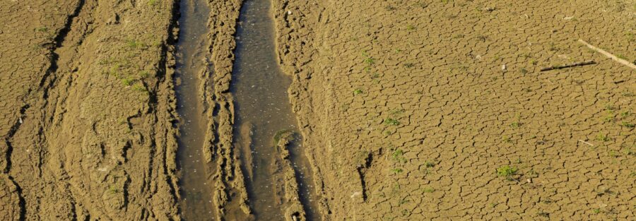 Cambio climático